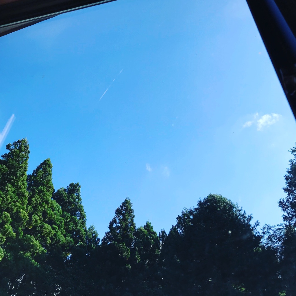 UNADJUSTEDNONRAW_thumb_4186